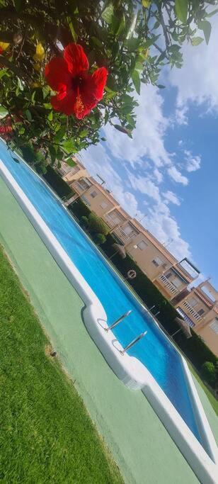 Avec Piscine Holiday home *