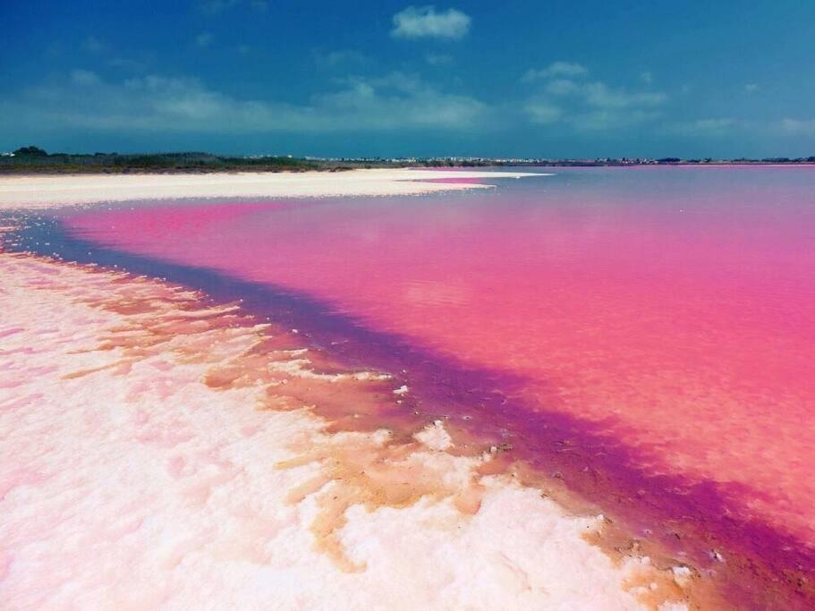 Avec Piscine
